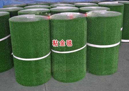 粘金毯 淘金草